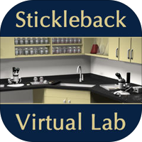 Stichling_virt_lab